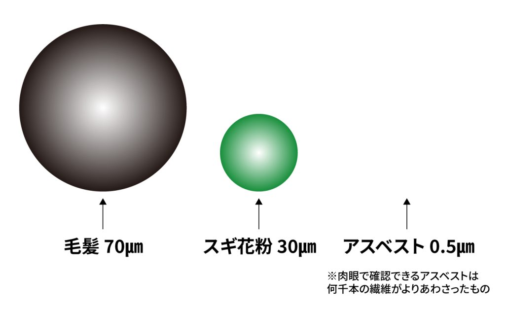 毛髪、スギ花粉、アスベストの大きさ比較