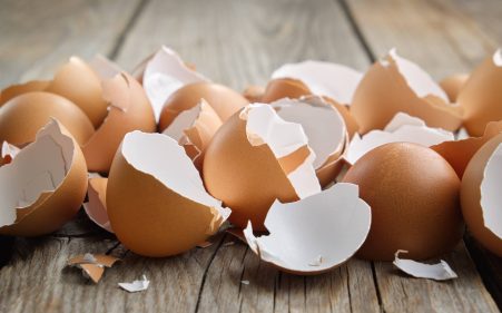 動植物性残さとは？処理方法を紹介