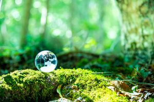 サーキュラーエコノミー(循環経済)とは?注目されている理由や実現のためのポイントを解説!