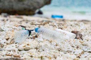 プラスチック資源循環促進法を分かりやすく解説!背景や対象者・事業者に求められる措置とは?