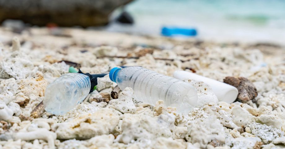 プラスチック資源循環促進法を分かりやすく解説!背景や対象者・事業者に求められる措置とは?