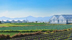 農業廃棄物とは？種類と正しい管理・処理方法について解説！