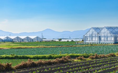 農業廃棄物とは？種類と正しい管理・処理方法について解説！