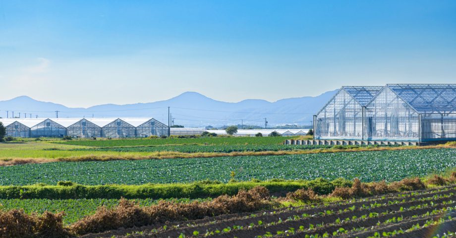 農業廃棄物とは?種類と正しい管理・処理方法について解説!