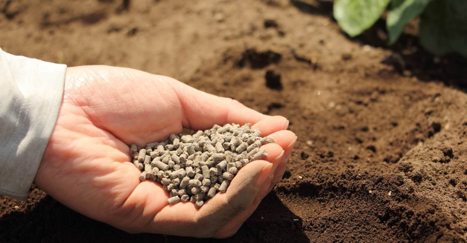 リサイクルループとは?食品・プラスチックに関するリサイクルループを紹介!