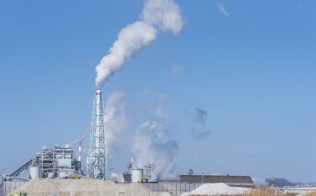 バイオマス発電とは？　仕組みや燃料の種類、メリット・デメリットを解説