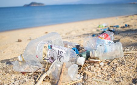 プラスチックごみ問題とは？　生態系や産業へ与える影響や解決に向けた取り組みも解説