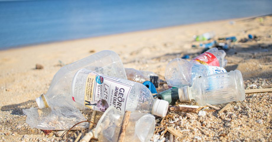プラスチックごみ問題とは？　生態系や産業へ与える影響や解決に向けた取り組みも解説