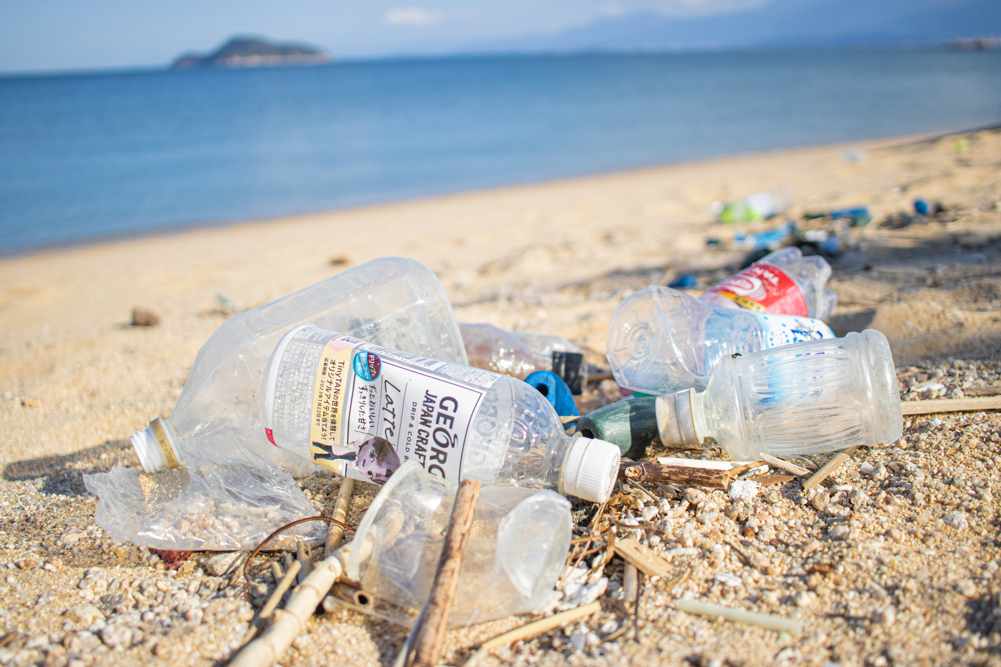 プラスチックごみ問題とは？ 生態系や産業へ与える影響や解決に向けた 